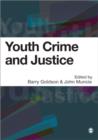 Image for Youth crime and justice  : critical issues