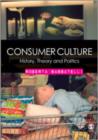 Image for Consumer culture  : history, theory and politics