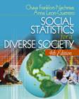 Image for Social Statistics for a Diverse Society