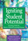 Image for Igniting Student Potential