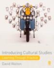 Image for Introducing Cultural Studies