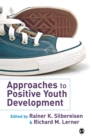 Image for Approaches to positive youth development