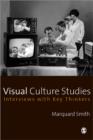 Image for Visual culture studies