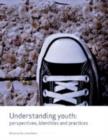 Image for Understanding youth  : perspectives, identities and practices