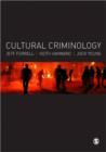 Image for Cultural Criminology