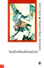 Image for Individualization: institutionalized individualism and its social and political consequences
