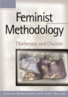 Image for Feminist methodology: challenges and choices