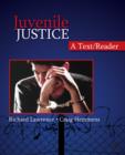Image for Juvenile justice  : a text/reader