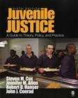 Image for Juvenile justice  : a guide to theory, policy, and practice