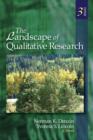 Image for The landscape of qualitative research