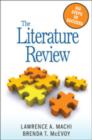 Image for The Literature Review