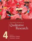 Image for The SAGE Handbook of Qualitative Research