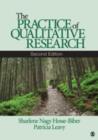 Image for The practice of qualitative research