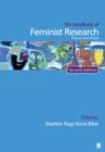Image for Handbook of Feminist Research
