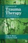 Image for Principles of Trauma Therapy