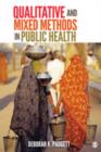Image for Qualitative and Mixed Methods in Public Health