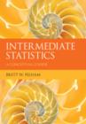 Image for Intermediate statistics  : a conceptual course
