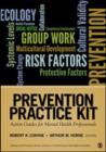 Image for Prevention Practice Kit : Action Guides for Mental Health Professionals