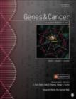 Image for Genes &amp; Cancer: Ubiquitin Marks the Cancer Web : Volume 1, Issue 7; July 2010