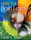 Image for How the brain learns