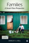 Image for Families  : a social class perspective