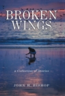Image for Broken Wings : A Collection of Stories