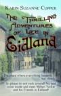 Image for The Thrilling Adventures of Life in Eidland