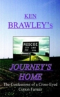 Image for Journeys Home