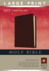 Image for NLT Personal Size Holy Bible