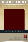 Image for Giant Print Bible-NLT