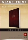 Image for NLT Holy Bible, Giant Print