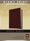 Image for Giant Print Bible-NLT