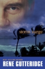 Image for Storm surge