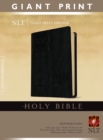 Image for NLT Holy Bible, Giant Print, Black