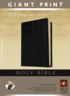 Image for NLT Holy Bible, Giant Print, Black, Indexed