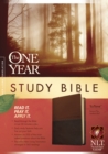 Image for NLT One Year Study Bible Tutone, The