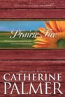 Image for Prairie fire