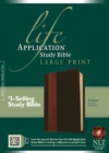 Image for NLT Life Application Study Bible Large Print, Indexed