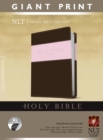 Image for NLT Holy Bible, Giant Print