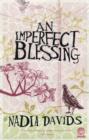 Image for Imperfect Blessing