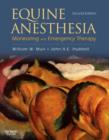 Image for Equine anesthesia  : monitoring and emergency therapy