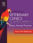 Image for Avian pet medicine