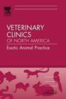 Image for Virology : An Issue of Veterinary Clinics - Exotic Animal Practice