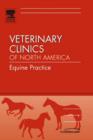 Image for New Therapies in Joint Disease : An Issue of Veterinary Clinics: Equine Practice