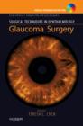 Image for Surgical Techniques in Ophthalmology Series: Glaucoma Surgery
