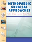 Image for Orthopaedic Surgical Approaches