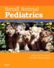 Image for Small animal pediatrics  : the first 12 months of life