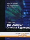 Image for The anterior cruciate ligament  : reconstruction and basic science