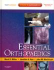 Image for Essential orthopaedics