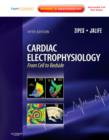 Image for Cardiac Electrophysiology: From Cell to Bedside